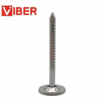 304 Ss Roof Nail Screw With a Cap