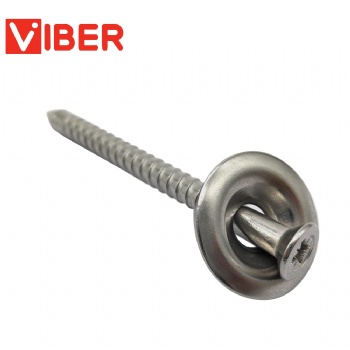 304 Ss Roof Nail Screw With a Cap