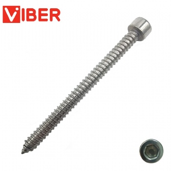 Hex Allen Socket Head Cap Self Tapping Screw