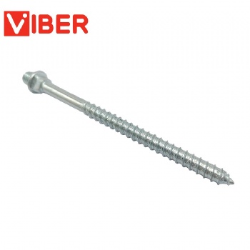 Double Thread Hanger Bolt Screw