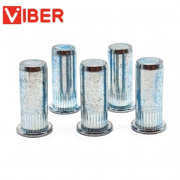 Flat Head Blind Hole Rivet Nut