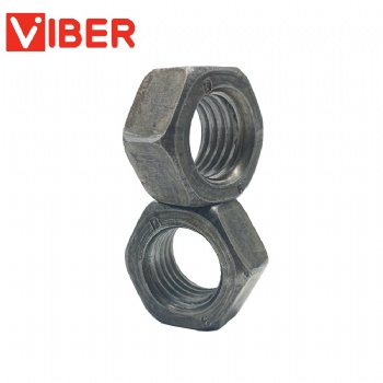 Hex Nut