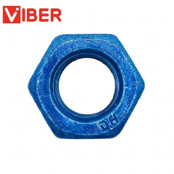 Hex Nut